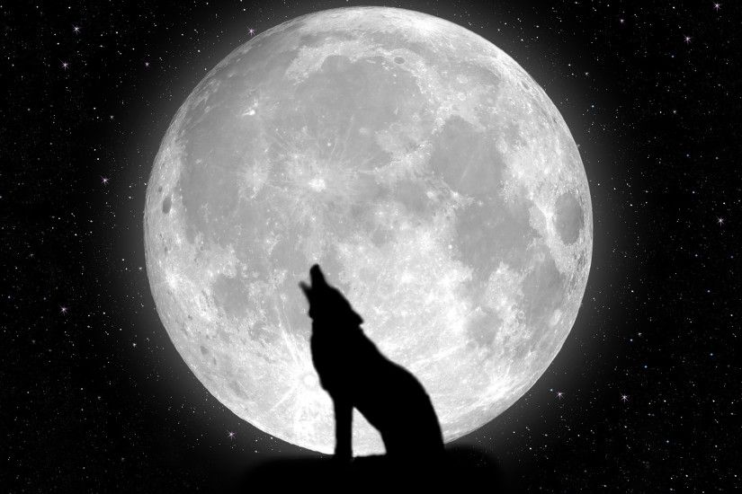 moon Night stars Wolf HD Wallpaper
