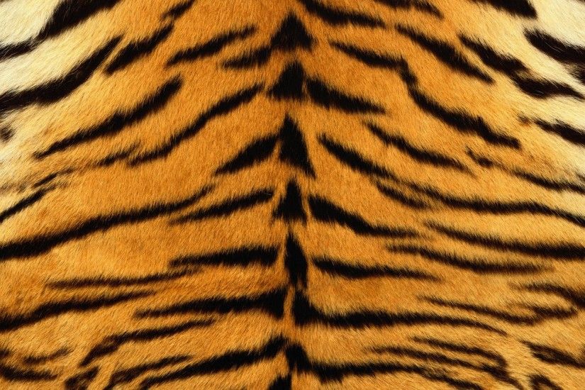 wallpaper.wiki-Tiger-Animal-Print-Photos-PIC-WPE0012416