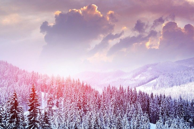 Beautiful Snow Trees in winter Landscape