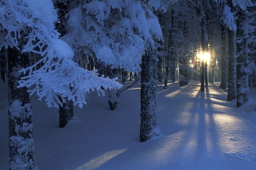 Winter forest - photo wallpapers, pictures in the winter forest / Ð¡ÑÑÐ°Ð½Ð¸ÑÐ° 3