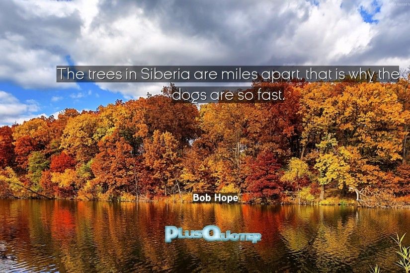 Download Wallpaper with inspirational Quotes- "The trees in Siberia are  miles apart, that