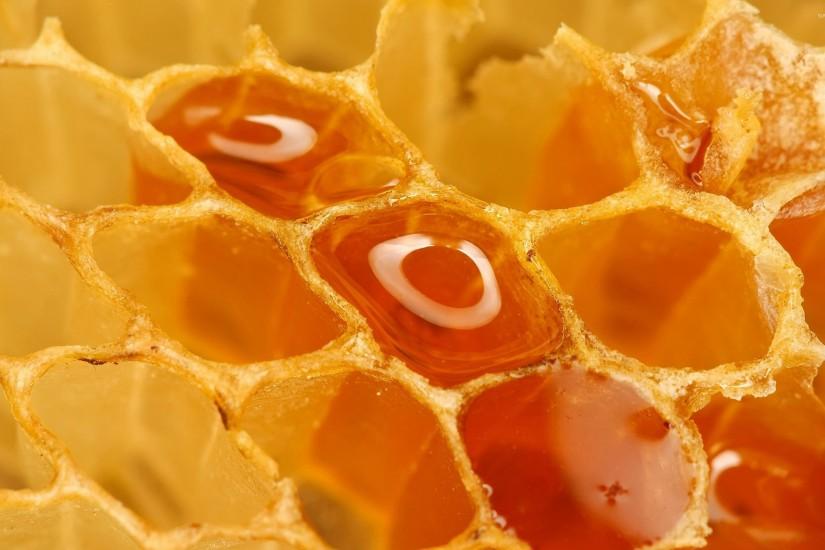 Honeycomb [4] wallpaper