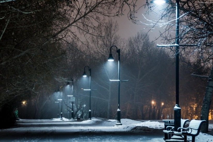 Park lamps on a winter night wallpaper 1920x1200