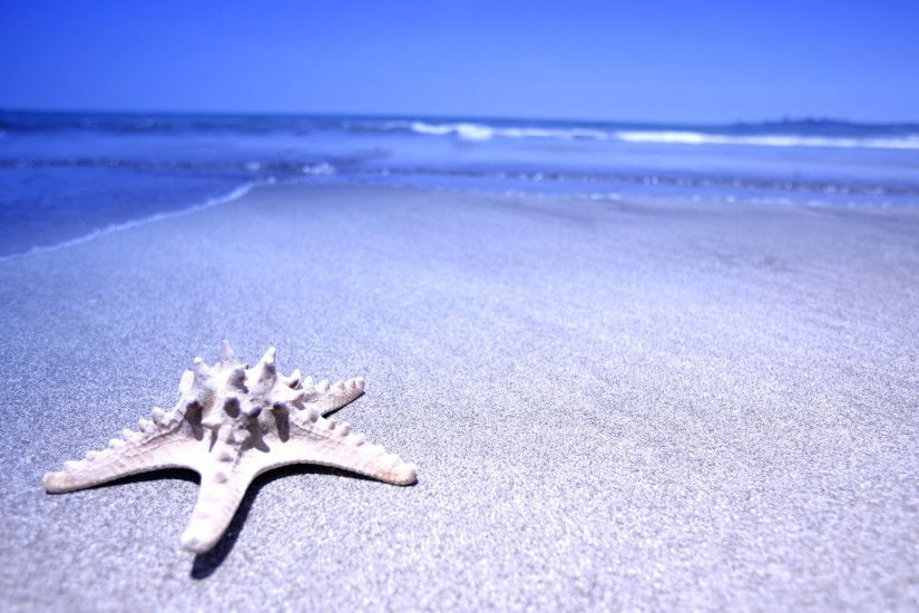 Stranded Starfish Beach Background Clipart