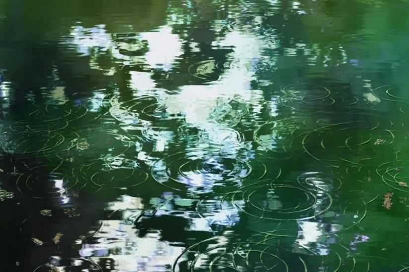 Water Makoto Shinkai ripples anime The Garden of Words wallpaper |  1920x1080 | 319634 | WallpaperUP