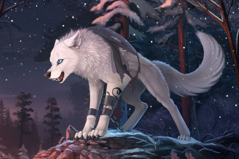Furry, Wolf, Animals Wallpapers HD / Desktop And Mobile Backgrounds