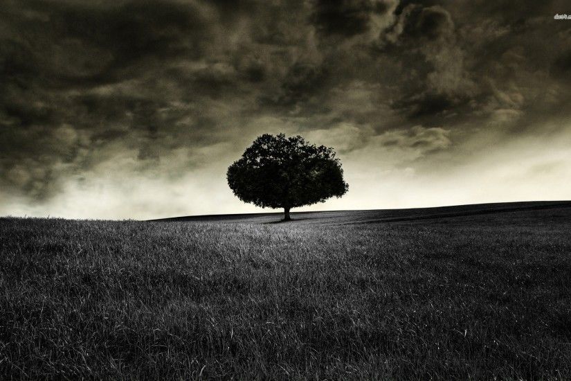 Images of Lonely Tree Wallpaper 1920x1080 - #SC ...