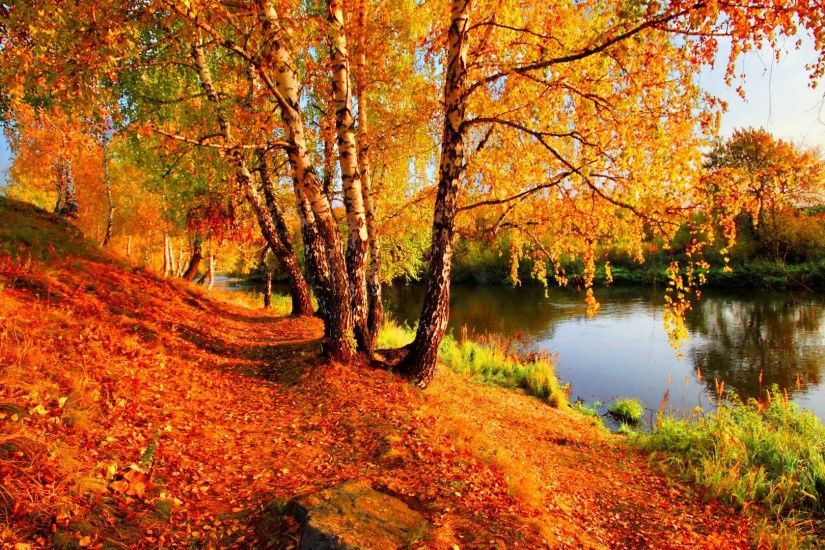 Fall Tag - Fall Autumn Lovely Beautiful Pond Trees Leaves Nature Golden  Lake Foliage Rivers And