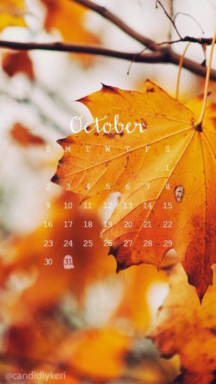 Fall leaves photo October calendar 2016 wallpaper you can download for free  on the blog!