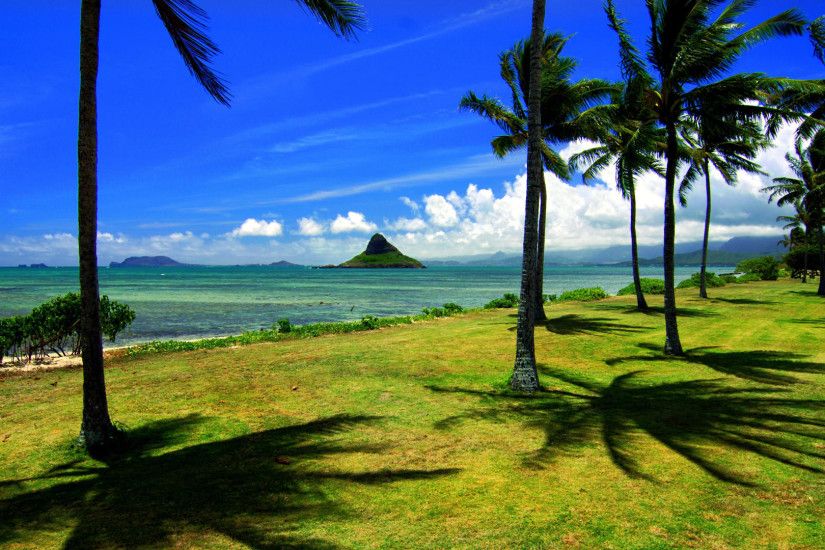 Hawaiian desktop wallpapers images.