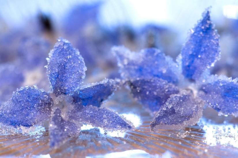 close-up crystal ice frost petals water flower bokeh wallpaper