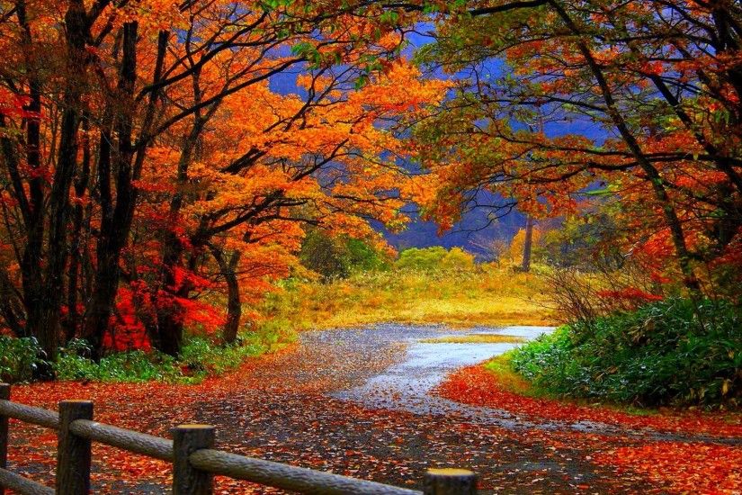 HD Wallpapers Nature Fall - HD wallpapers n