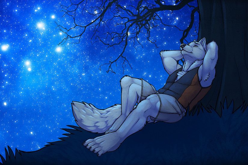 Romantic werewolf gazing at the starry sky wallpaper 1920x1080 jpg