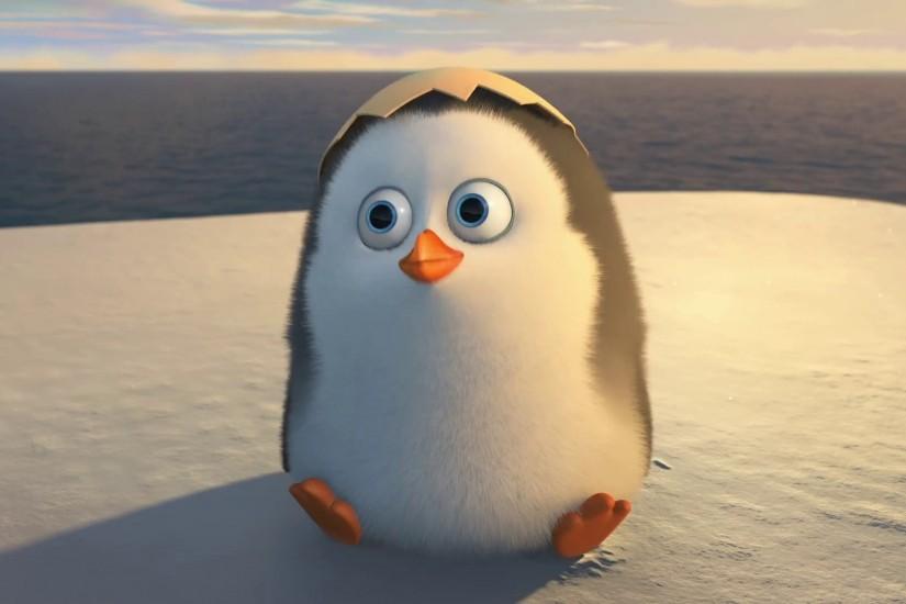 The-Penguins-of-Madagascar-Movie-2014-Cute-Baby-