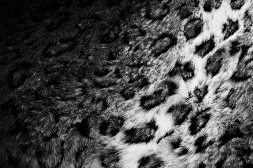 1920x1200 Black Cheetah Wallpapers - Wallpaper Cave