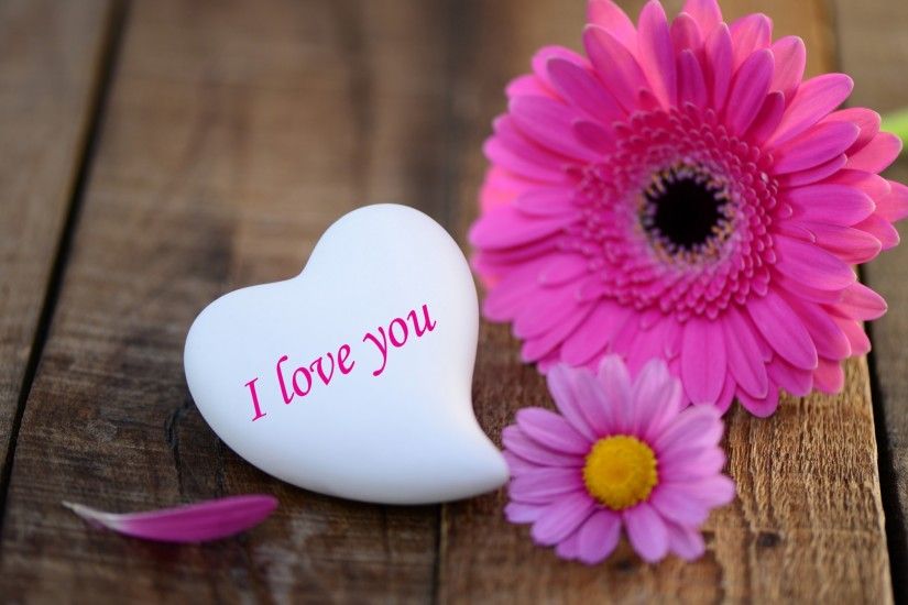 pink-daisies-heart-stone-i-love-you-wide- ...