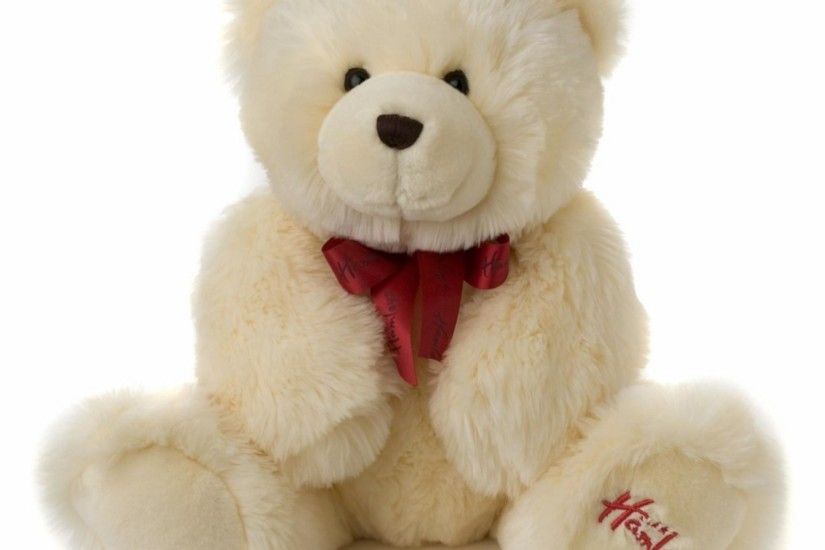 HQ 2000x2000 px Resolution Teddy Bear - Wallpapers and Pictures BackGrounds  Collection for mobile and desktop