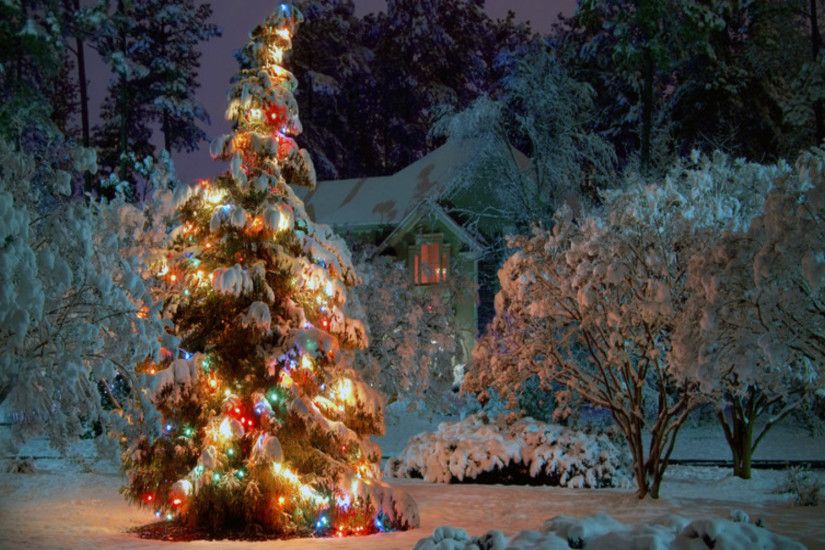 Christmas Tree Background ...