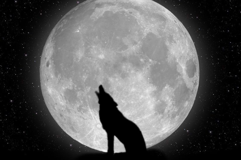 Wolf Wallpapers Pictures - Wallpaper Cave