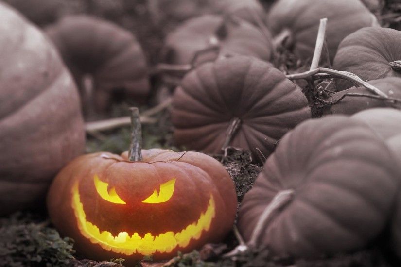 Light-Halloween-Pumpkin-Backgrounds