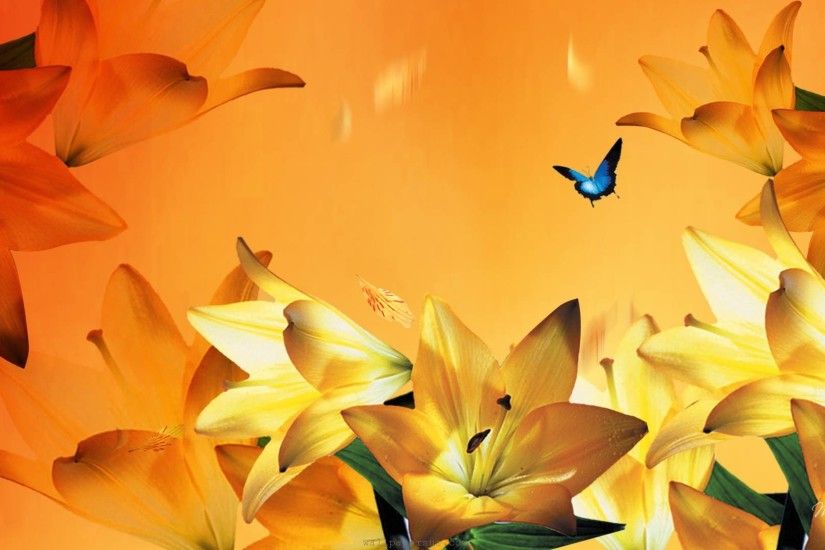 Floral, orange, petals, summer, yellow, lilies, flowers, gilded, Â· Butterfly  WallpaperLilies FlowersBlue ...
