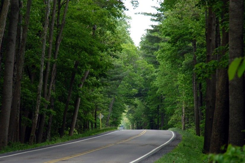 George Washington National Forest Wallpaper Landscape Nature