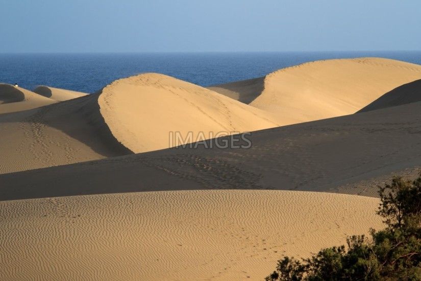 Maspalomas, Dunes, Sand Dunes