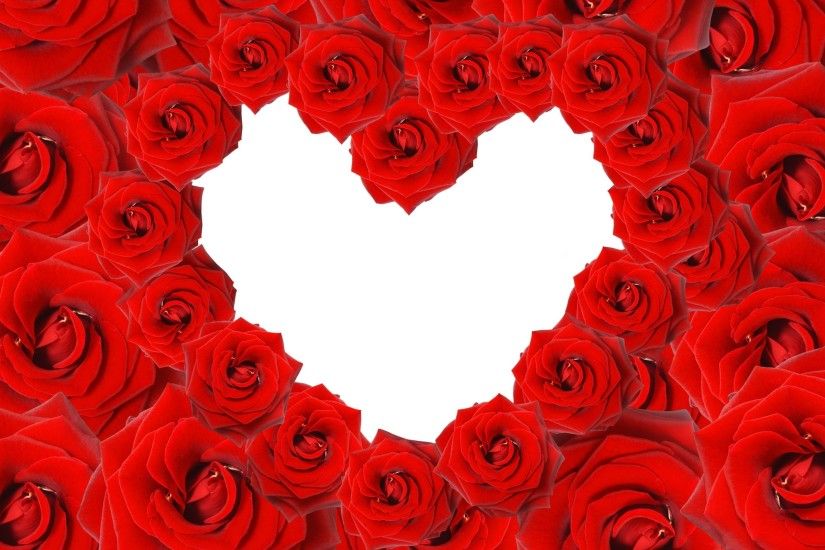 Love Roses And Hearts Wallpapers Red Roses Love Heart Wallpapers | Hd  Wallpapers