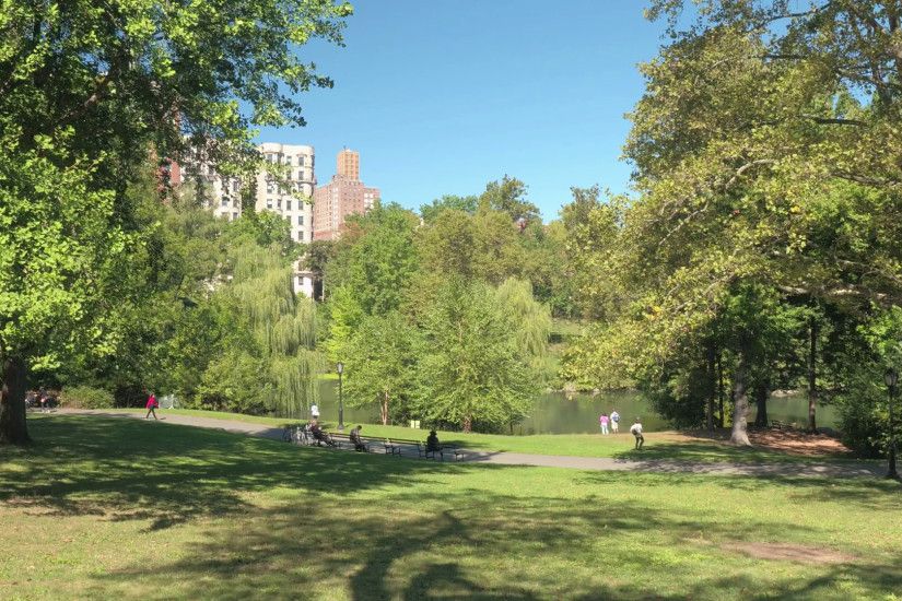 People enjoying stunning sunny summer day relaxing in New York City Central  park