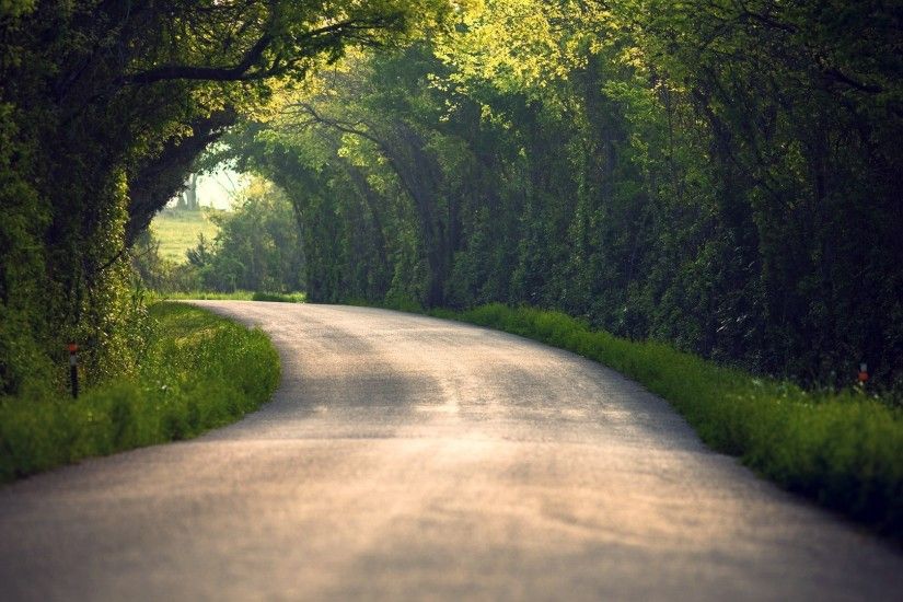 Preview wallpaper summer, nature, road, leaves, trees 1920x1080