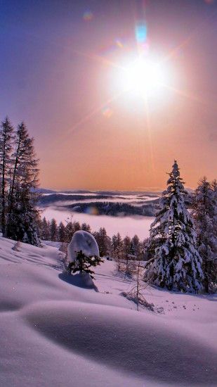 Nature, Winter, Landscape, Tree, Frost Wallpaper in 1080x1920 Resolution