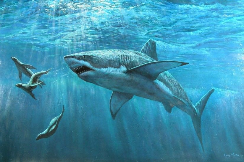 shark ocean water sea seals underwater the world