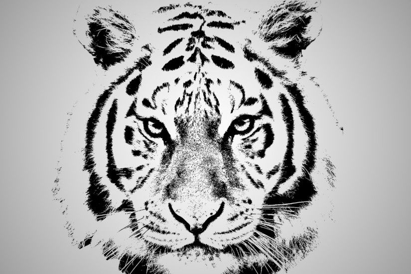 Tiger White Background by LordXon Tiger White Background by LordXon