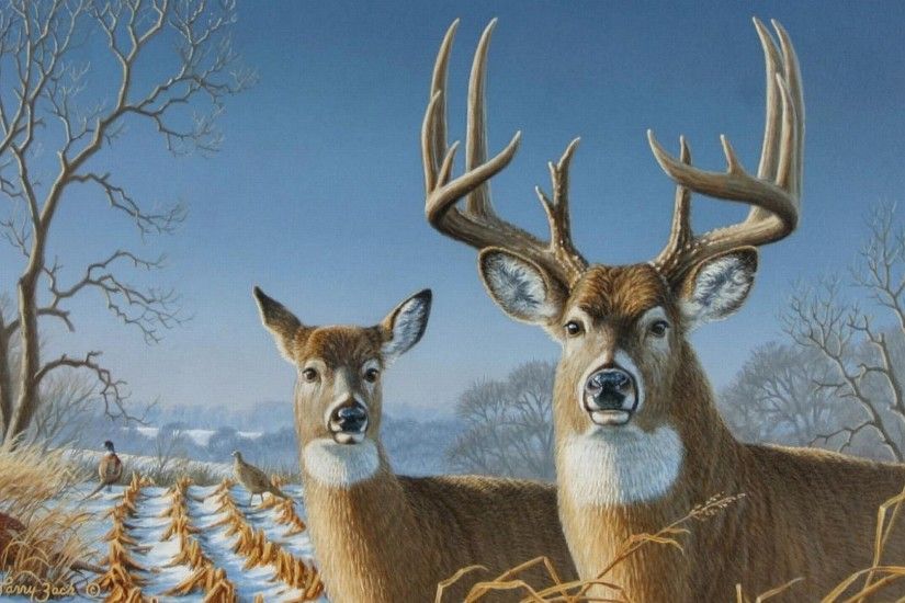 Deer HD Wallpapers Images Pictures Photos Download