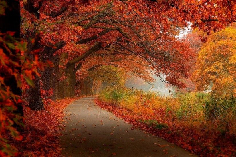 Fall-Scenery-Photo-HD