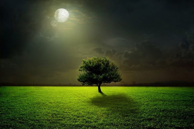moon moonlight field tree grass night sky green clouds