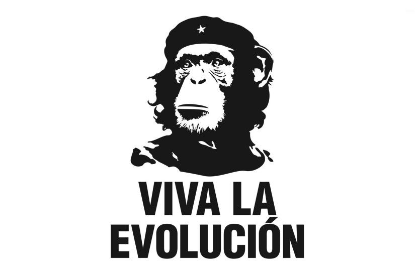 Viva la evolucion wallpaper 1920x1200 jpg