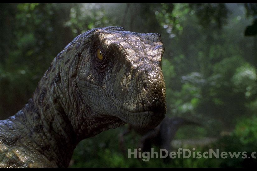 Jurassic park 3 19.png