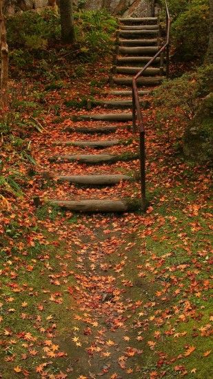 1440x2560 Wallpaper stairs, fall, foliage