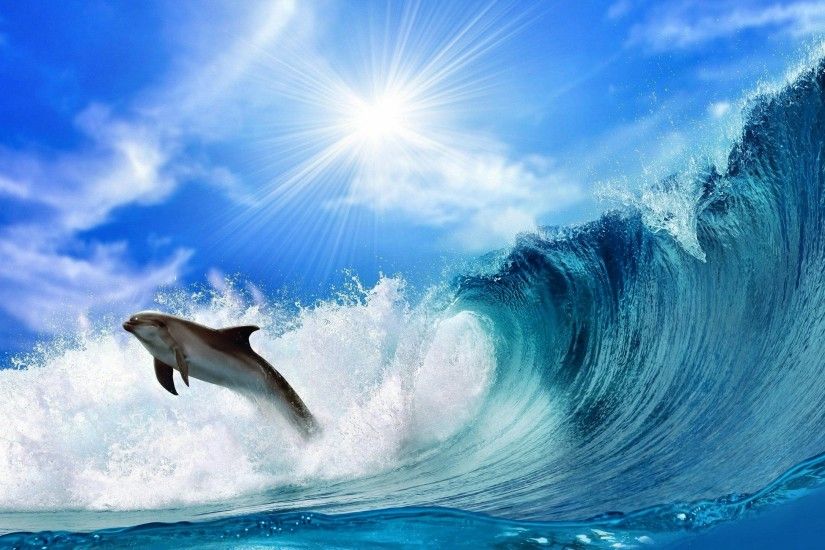 YouWall Dolphins Wallpaper wallpaperwallpapersfree wallpaper | HD Wallpapers  | Pinterest | Wallpaper
