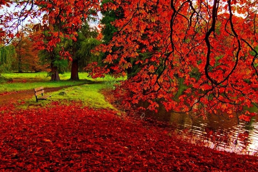 Fall Leaves Background Wallpapers