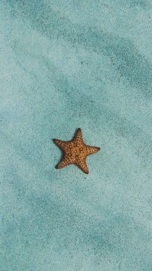 1440x2560 Wallpaper starfish, sand, surface