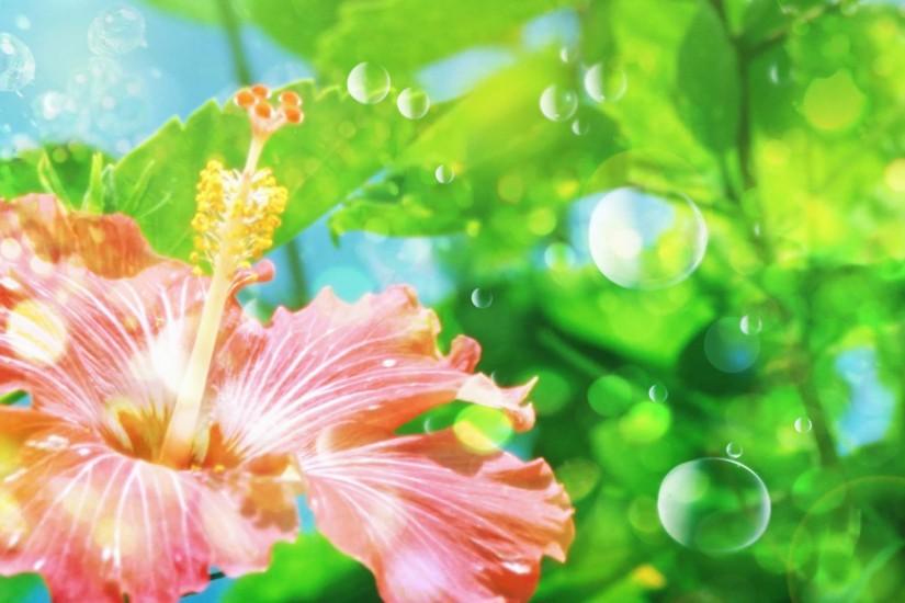 hawaiian-flowers-background