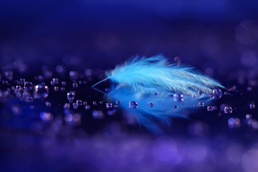 #1412042, Free download feather wallpaper