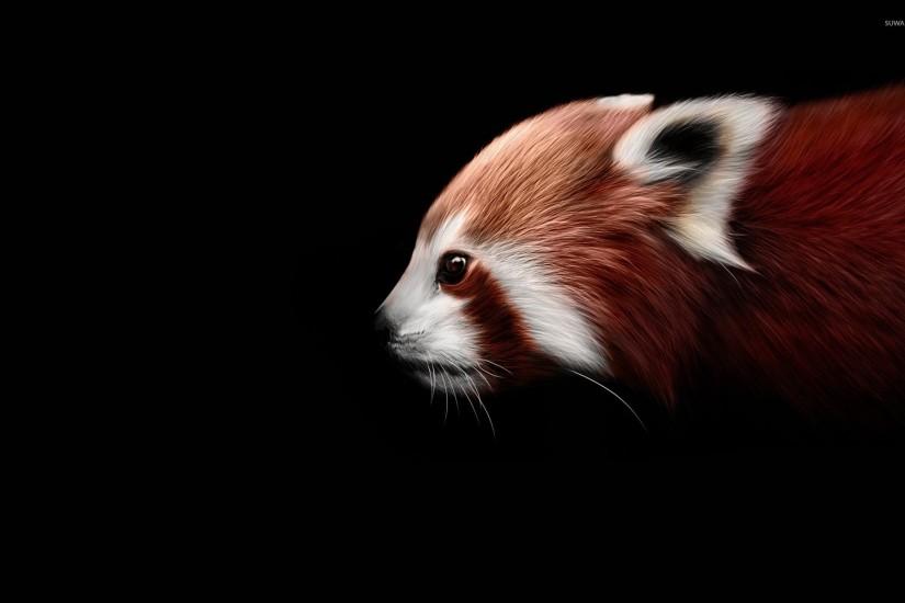 Red panda [4] wallpaper 1920x1200 jpg