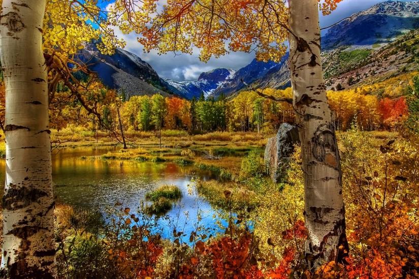 Preview wallpaper autumn, birch, color, paint, plants, pond, mountain,