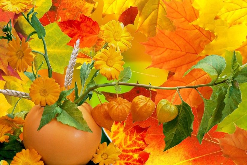 HD Abundance Of Fall Colors Wallpaper | Download Free - 60021