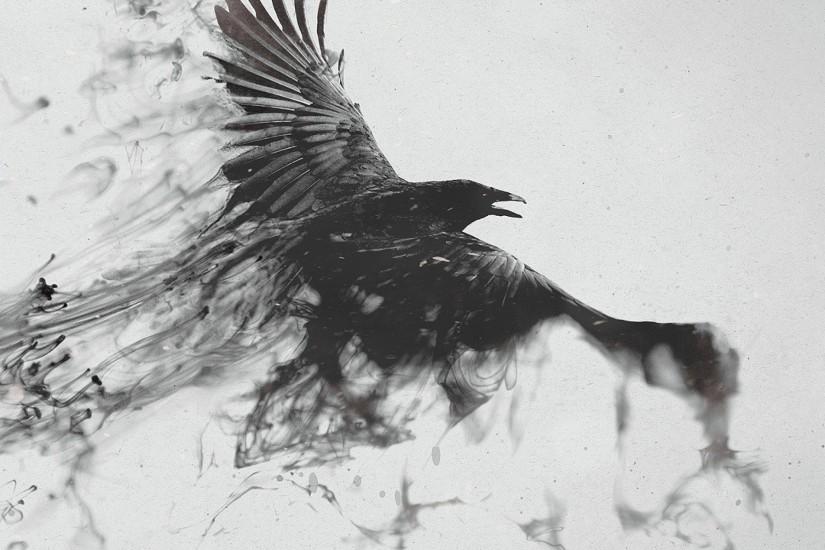 Preview wallpaper raven, bird, flying, smoke, black white 2048x2048