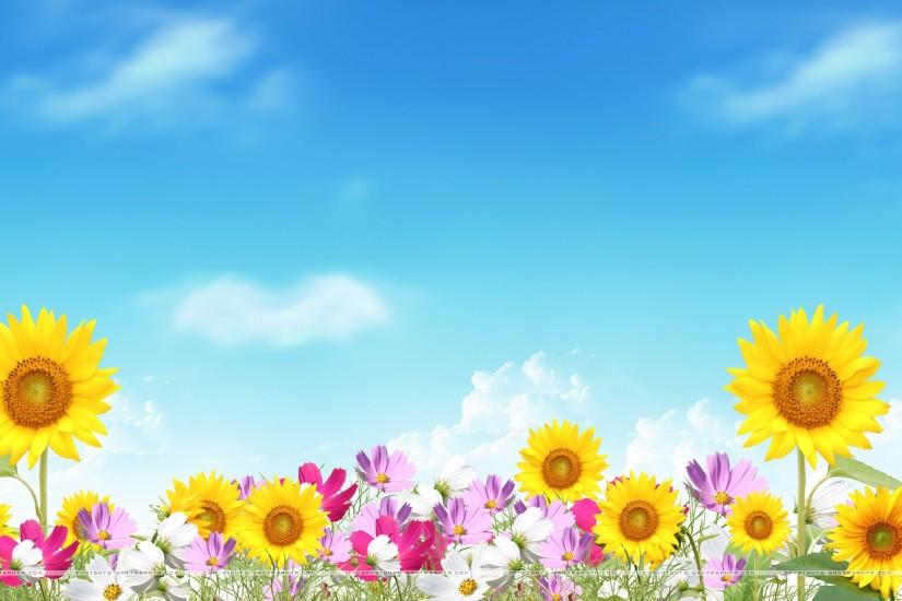 summer backgrounds 1920x1080 for mac