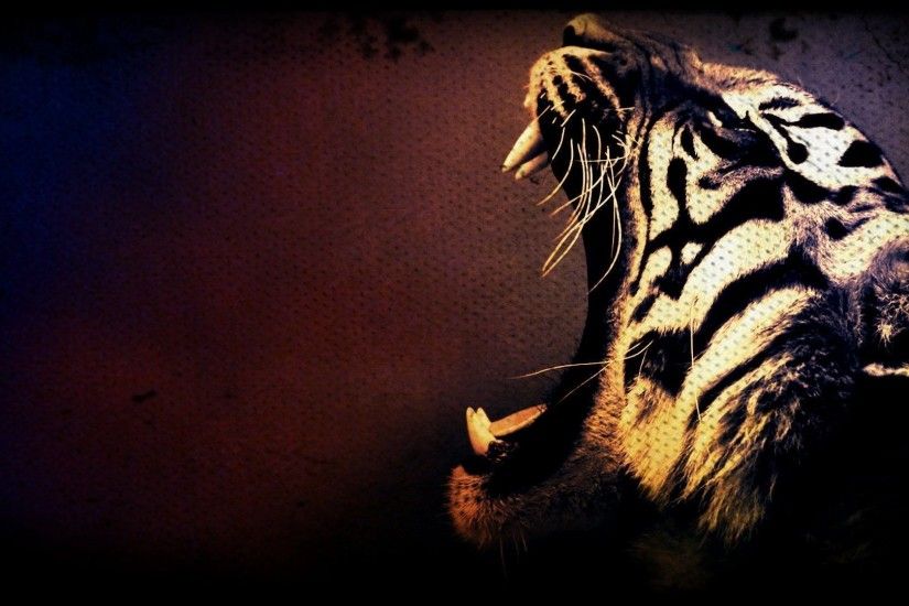 Tiger Face Fantasy Art Wallpaper HD Download For Desktop fondos